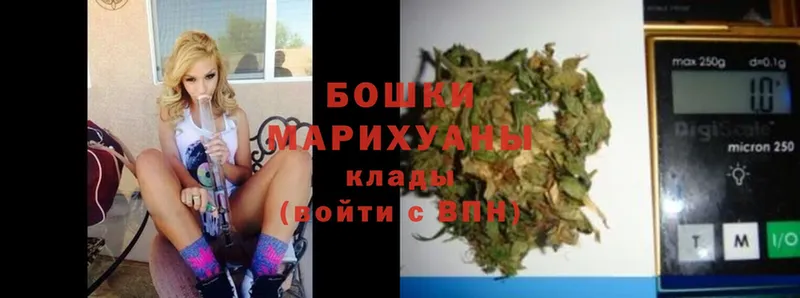 Бошки марихуана SATIVA & INDICA  что такое наркотик  Хвалынск 